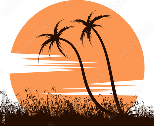 silhouette of a palm tree