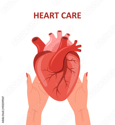 Heart care. Female hands hold human heart. Cardiology and circulatory system diseases. Vector illustration in flat cartoon style.