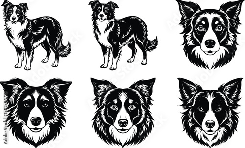Dogs doodle vector set. Cartoon dog or puppy characters design collection with flat color in different poses. Set of funny pet animals isolated on white background
