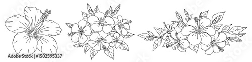 ハイビスカスの花の白黒の線画ベクターイラスト 花束/ブーケ/一輪の花/シンプルでおしゃれな手書きのラインアート