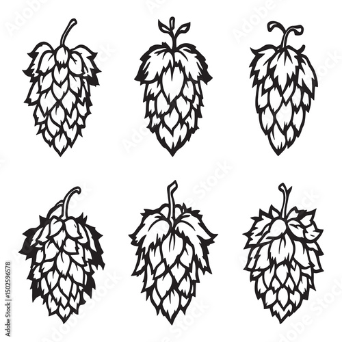 Elegant Hops Floral Sketch for Craft Packaging