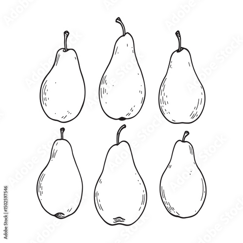 Elegant Pear Line Illustration for Print and Web