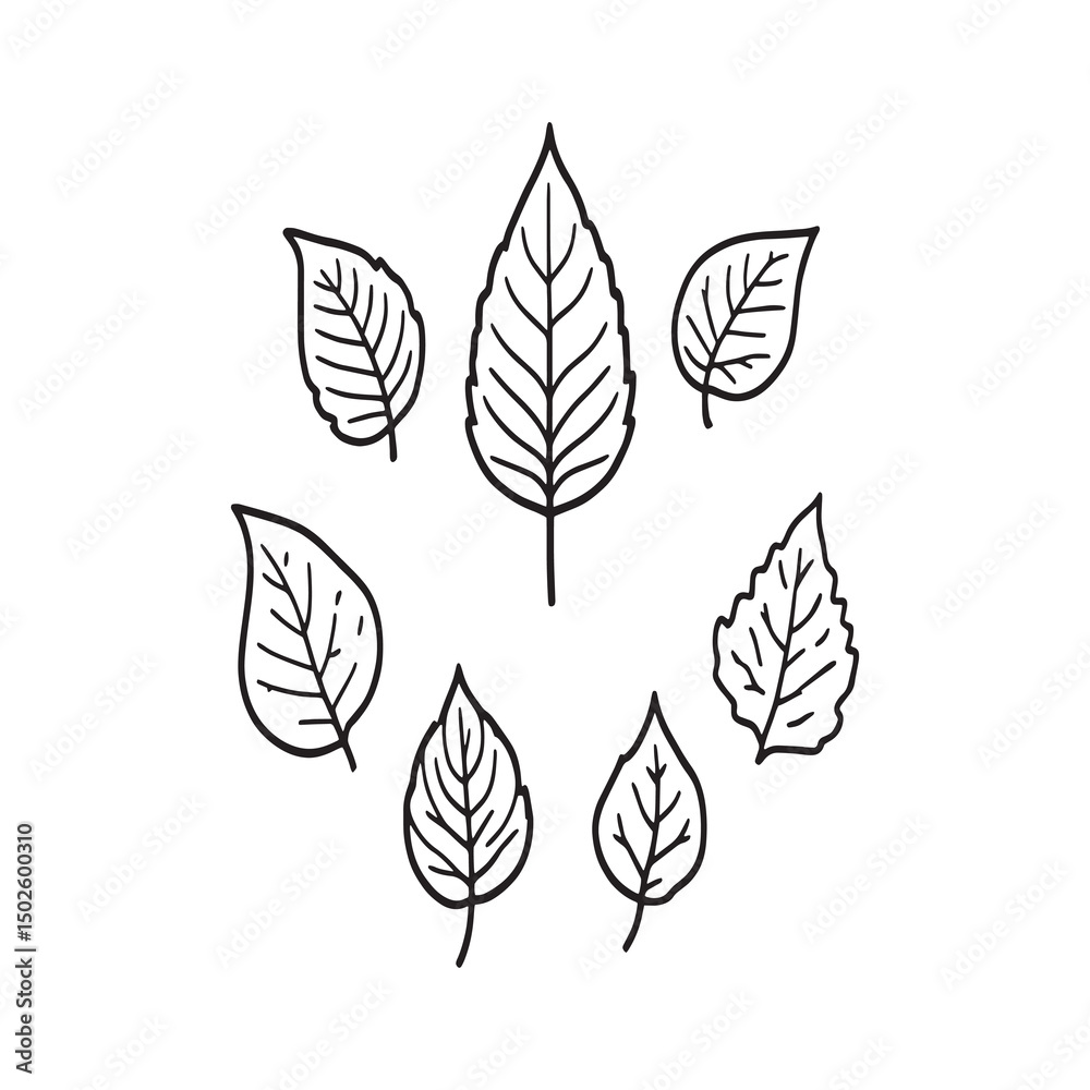 Fototapeta premium hand drawn neem leaves herbal nature sketch
