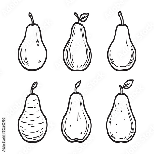 Hand Drawn Pear Line Art Illustration Vector