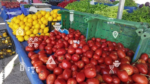 agriculture smart farming technology - industry 4.0.Concept of Harvesting and Planting with Technology and smart farming. . High quality 4k footage