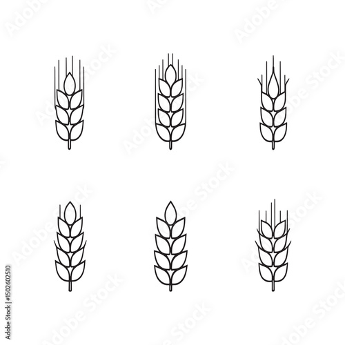 Hand Drawn Wheat Line Art Illustration for Design