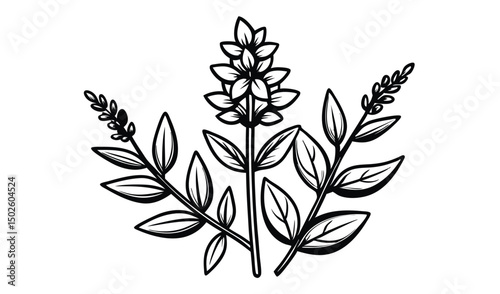 Aromatic herbs sage thyme and spikes in tiny tubs