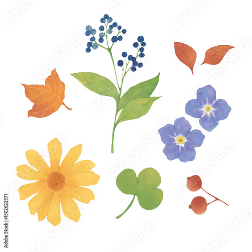 Botanical Watercolor Clipart Bundle – Flowers, Leaves, and Natural Elements. Perfect for DIY wedding invitations, greeting cards, scrapbooking, textile design, packaging, and digital projects.