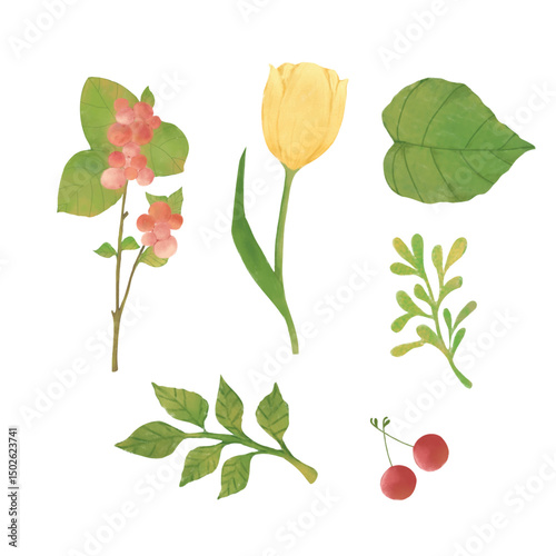 Floral Watercolor Collection Garden Flowers, Leaves, and Berries Clipart. Perfect for DIY wedding invitations, greeting cards, scrapbooking, textile design, packaging, and digital projects.