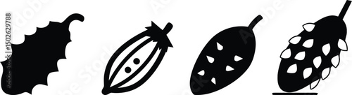 Vector silhouette set of bitter gourd and bitter melon on a plain white background

