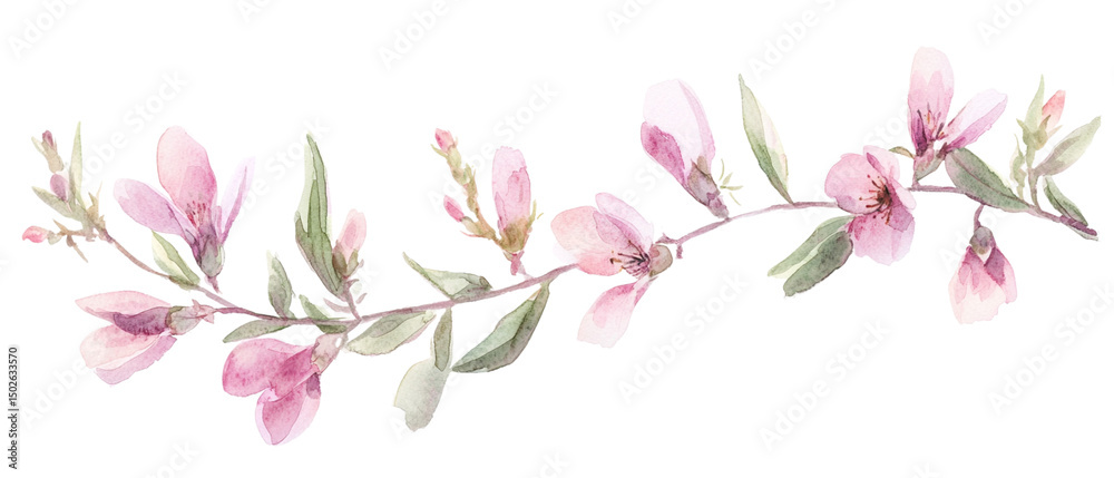 Fototapeta premium Watercolor cherry blossom flowers with pink and red flowers, black ink leaves on a white background.