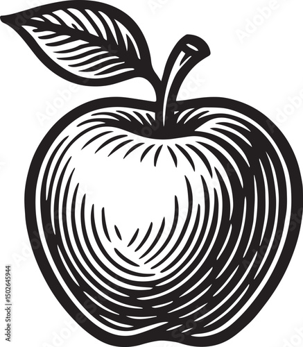 Vintage Engraved Apple Line Art
