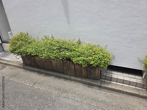 Bush Side of Building