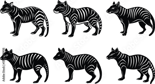 Tasmanian Tiger Silhouettes: Thylacine Extinct Animal Vector Art Illustration, Black and White Graphics, Wildlife Icon Set, Australian Fauna
