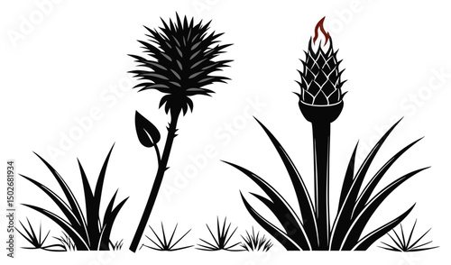 Asphodel and kniphofia flowers with torch like spikes