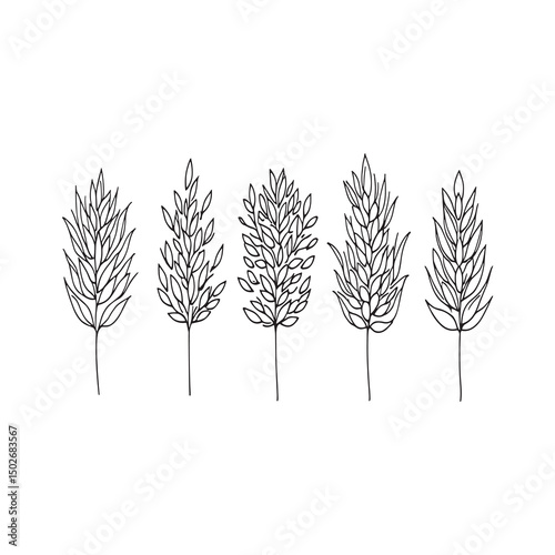 simple line art illustration of rice grains and stalks