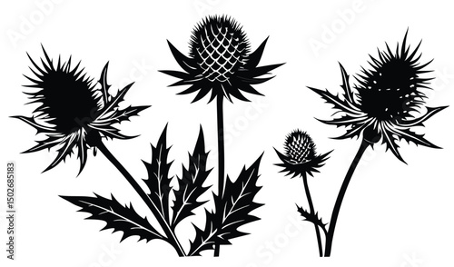 Elegant eryngium sea holly and thistle floral design
