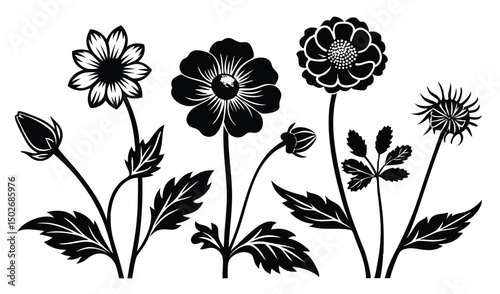 Geum and avens flowers with nodding blooms and feathery details