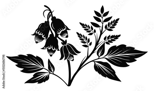 Detailed illustration of monkshood and aconitum flowers