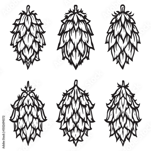 Minimalist Hops Cone Line Art for Design Use