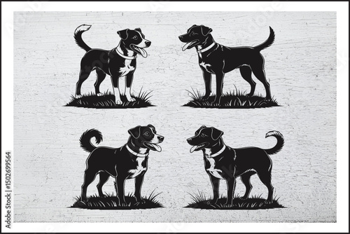 Shadow Paws: A Canine Quartet
Loyal Silhouettes in the Grass
Midnight Watchdogs