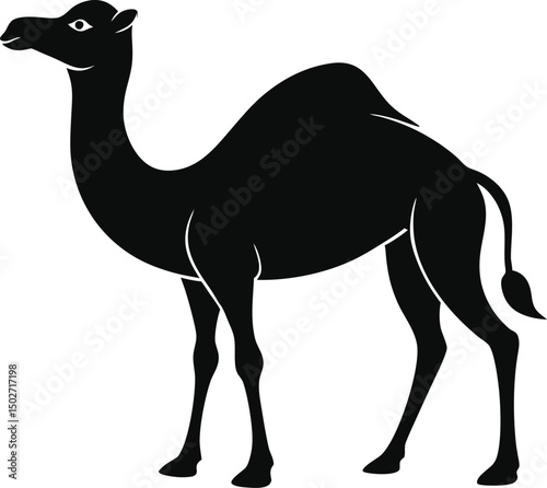 Camel in desert on white background 