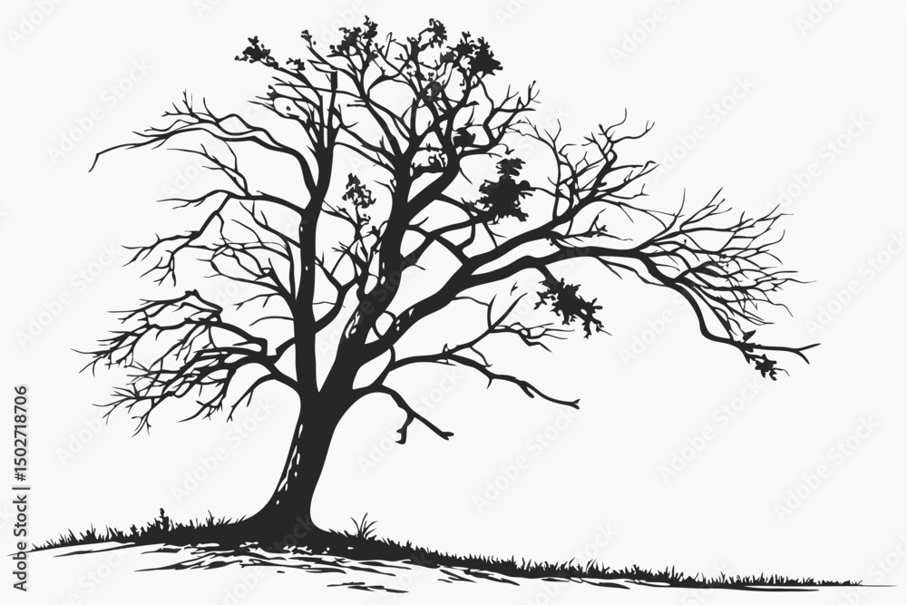 Fototapeta premium Nature’s Silence – Thailand Tree Silhouette