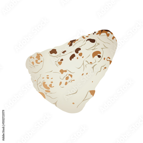 Naan Indian food vector illustration in realistic styles. Traditional flatbread design for culinary, restaurant, and food-related graphic projects.