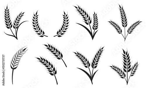 Agriculture wheat icon set, Organic wheat, bread agriculture and natural eat, rice isolated on white background, vector illustration