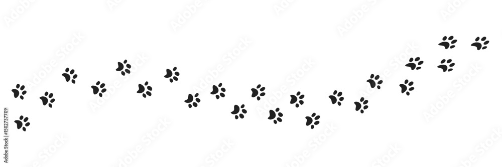 Paw vector foot trail print of cat. Dog, pattern animal tracks isolated on white background, backgrounds, vector icon Illustration Paw vector foot trail print of cat. Dog, pattern animal tracks isolated on white background, backgrounds, vector icon Illustration