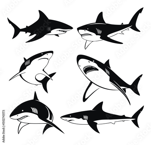 Shark vector silhouettes set. Monochrome illustration of stylized shark. isolated on white background
