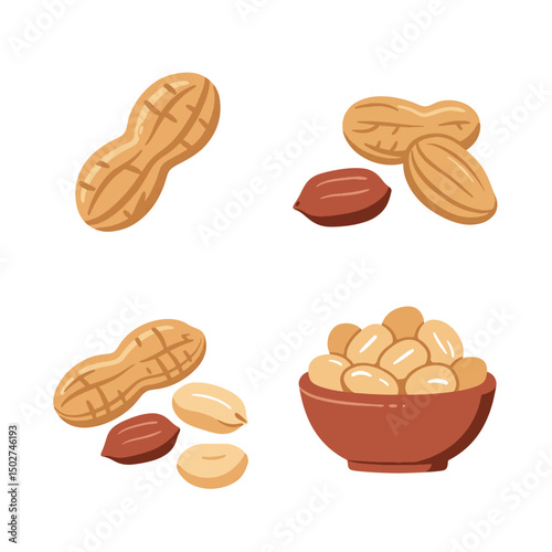 Vector illustration of fresh peanuts and shelled peanuts in various compositions for healthy eating