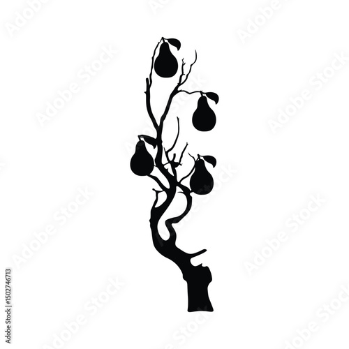 Fruit tree  silhouette 