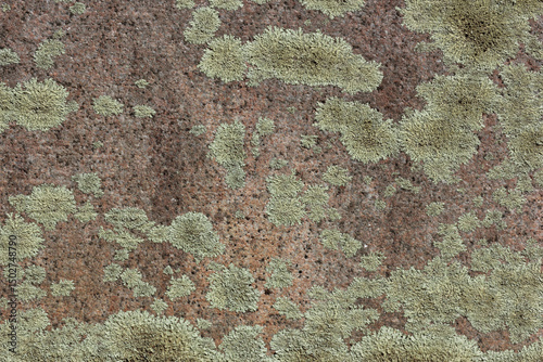 Close up of Historic Headstone in Rural East TX Cemetery