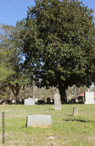 Historic Headstone at Griffin Cemetery located outside Troup, TX