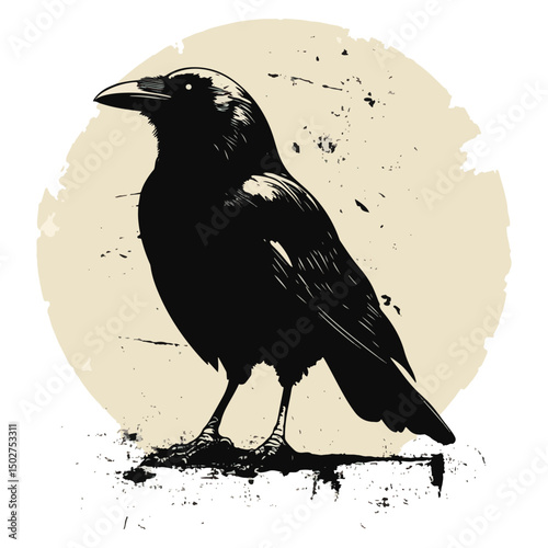 crow, animal, vector, transparent background, raven, nature, wildlife, feather, beak, isolated, wing, wild