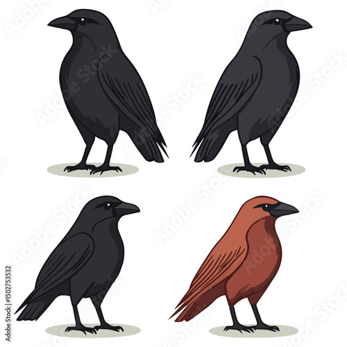 crow, animal, vector, transparent background, raven, nature, wildlife, feather, beak, isolated, wing, wild