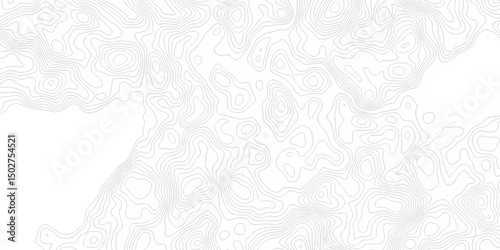 Abstract background vector. Abstract topographic contours map background. Abstract white pattern topography vector background. Black and white topography contour line map isolated on white background.
