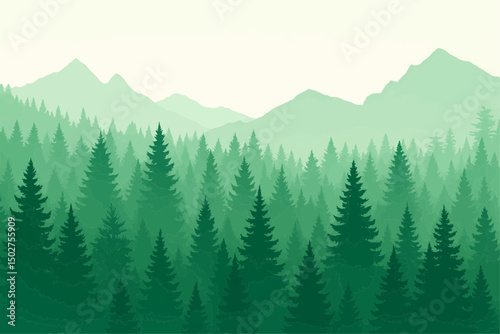 Forest silhouette