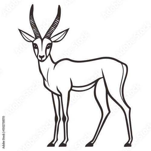 gazelle, animal, vector, transparent background, wildlife, mammal, nature, cute, antelope, zoo, isolated, farm, herbivore, springbok
