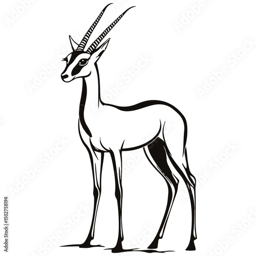 gazelle, animal, vector, transparent background, wildlife, mammal, nature, cute, antelope, zoo, isolated, farm, herbivore, springbok
