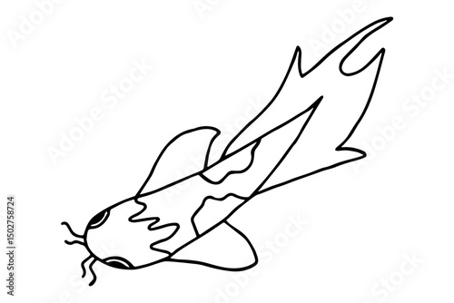 Основные RGB 
Vector image of Koi carp fish in doodle style.
