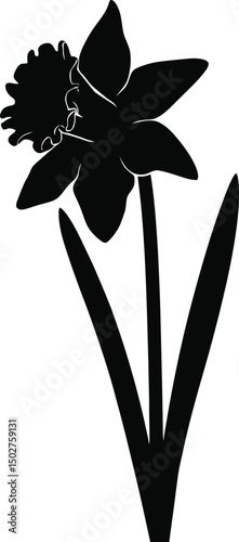 Clean black silhouette of datura flower vector graphic