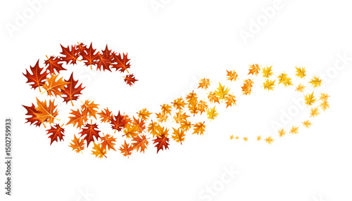 Autumn leaves design element. Fall colorful maple leaves border on white background. Vector illustration