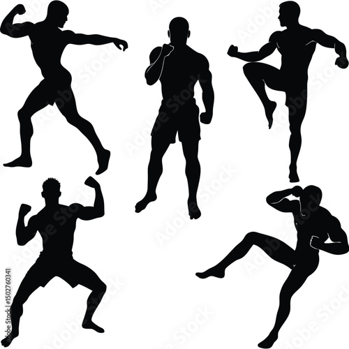 Silhouette collection of martial arts fighters demonstrating various kicks and punches in action