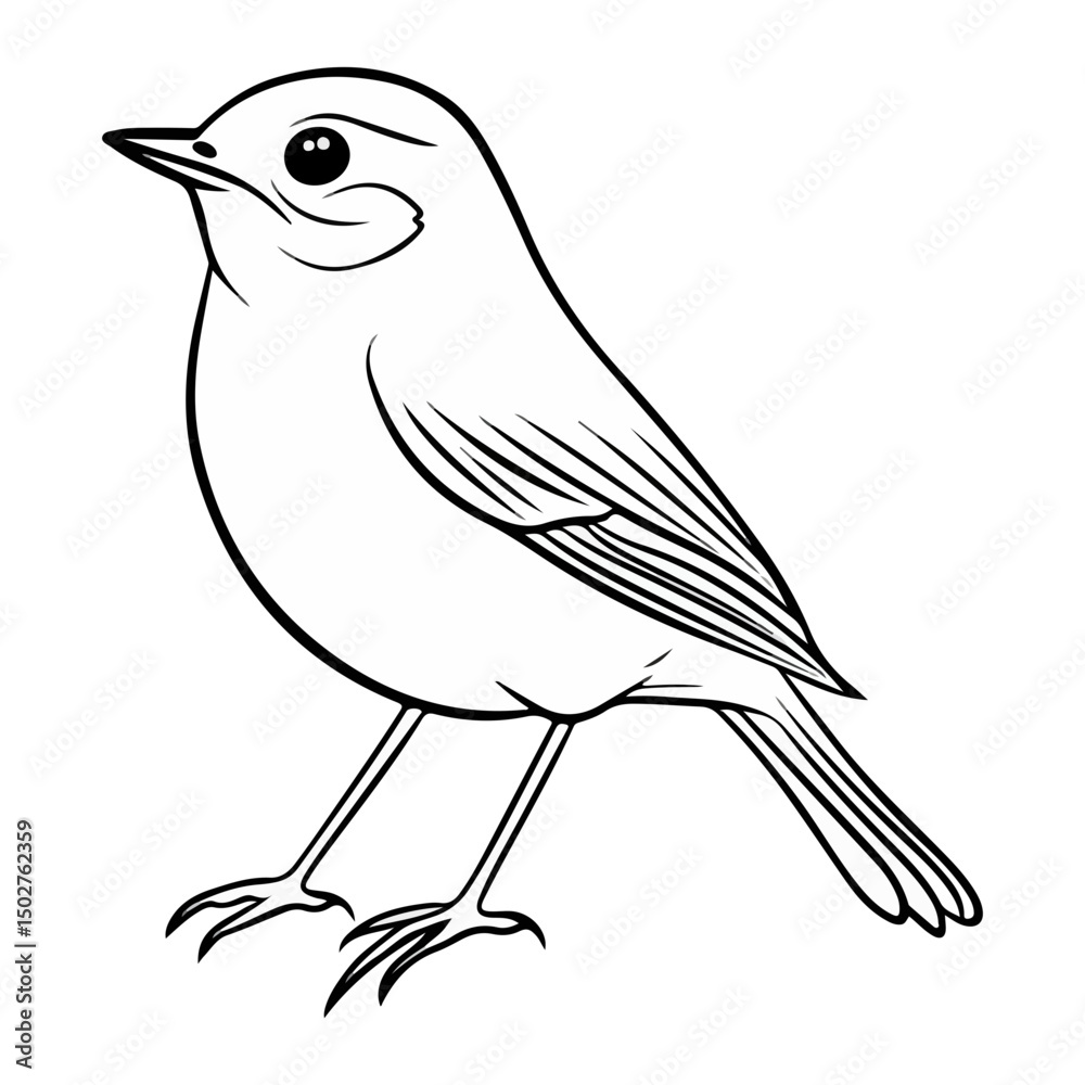 Obraz premium robin, erithacus rubecula, animal, vector, transparent background, beak, bird, nature, isolated, wildlife, feather, birds, feathers, cute, twitter, wing