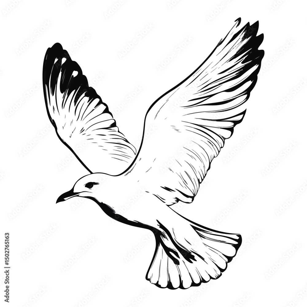 Obraz premium seagull, animal, vector, transparent background, wing, feather, freedom, wildlife, beak, nature, cute, isolated, sea gull, wings