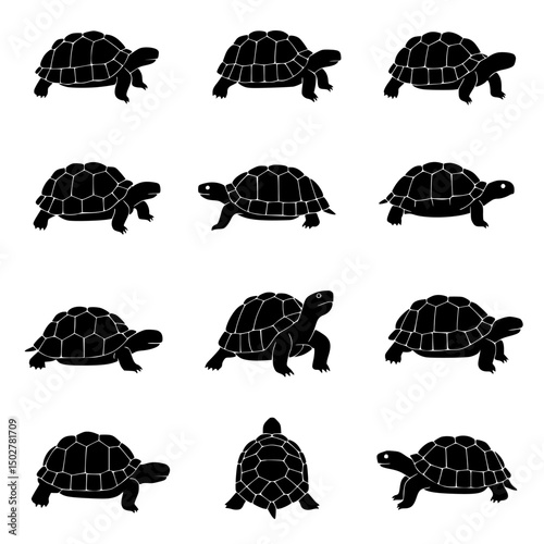 Twelve tortoise silhouettes in various poses isolated on transparent background