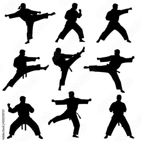  karate martial arts silhouettes isolated on transparent background