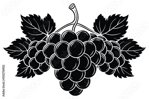 Bunch of grapes with leaves isolated on white background, monochrome art